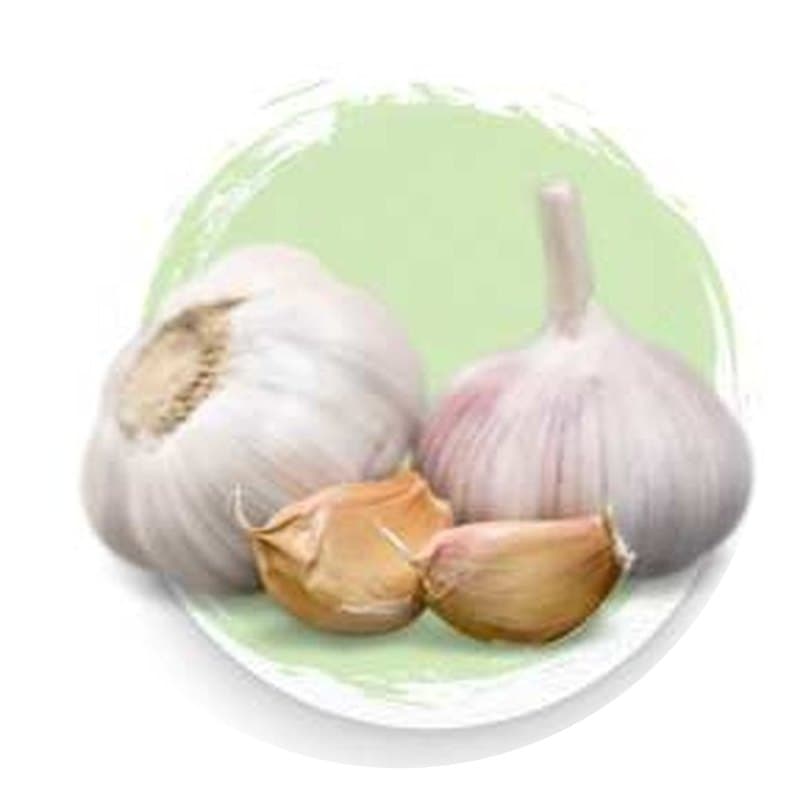 Dehydrated Garlic