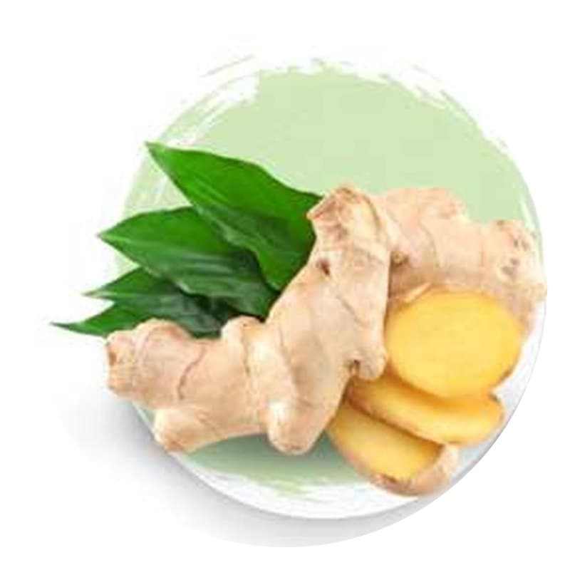 Dehydrated Ginger Flakes