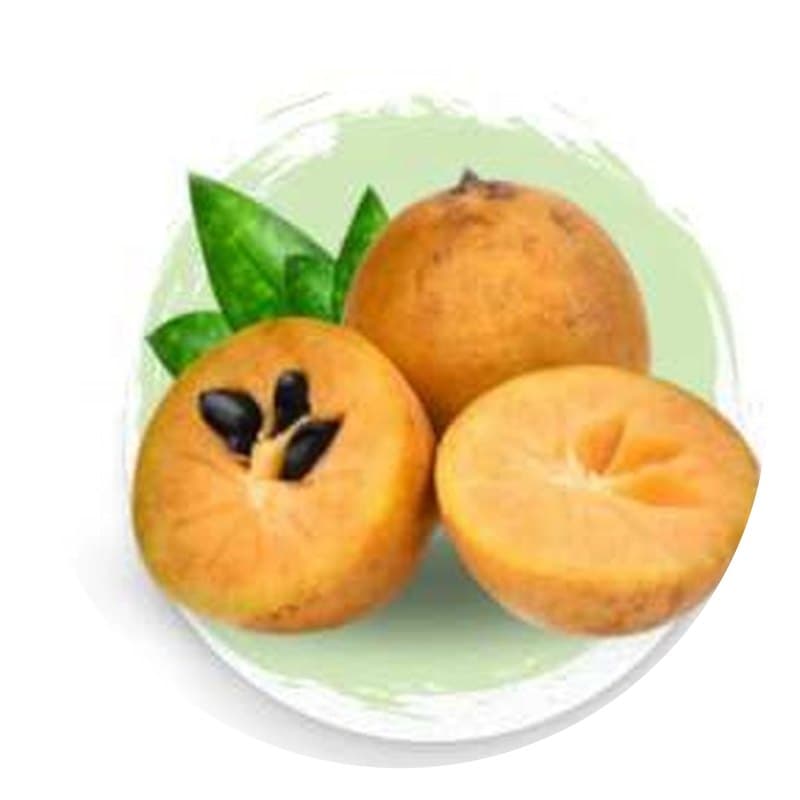Chikoo (Sapota) Powder & Slices