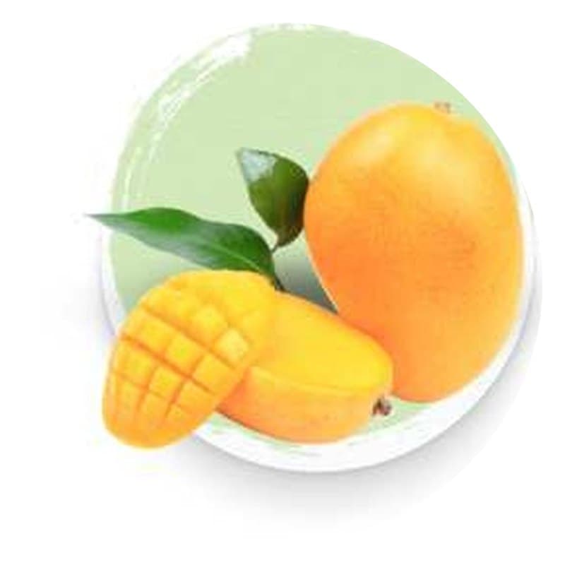 Mango Powder & Dried Mango