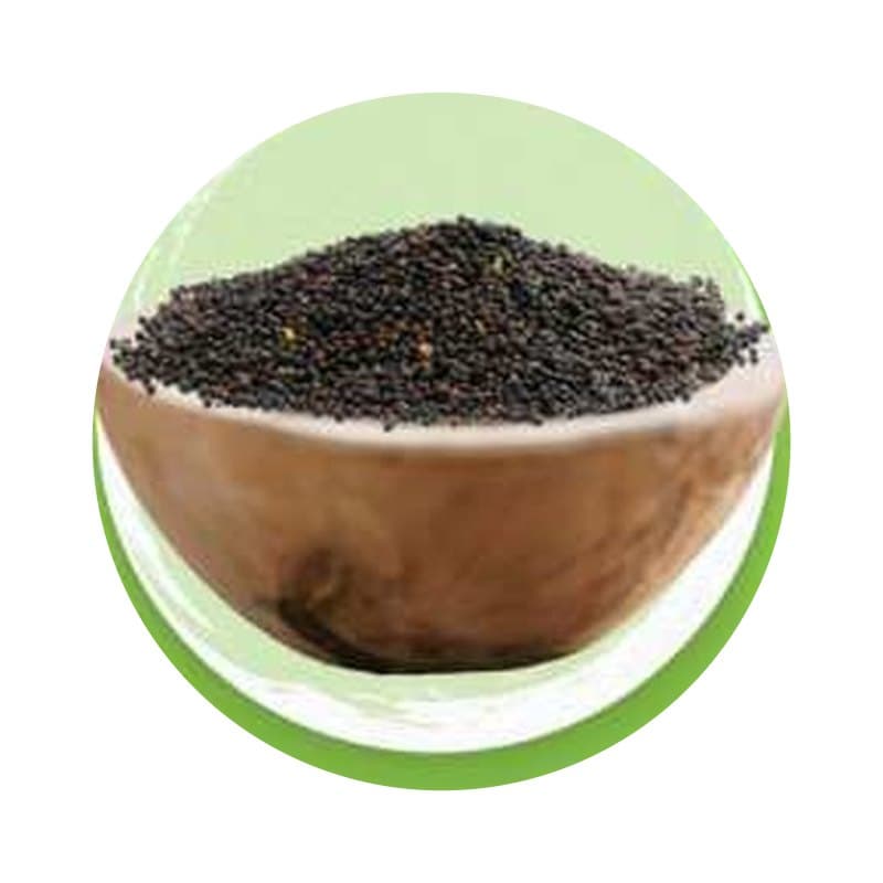 Mustard Seed