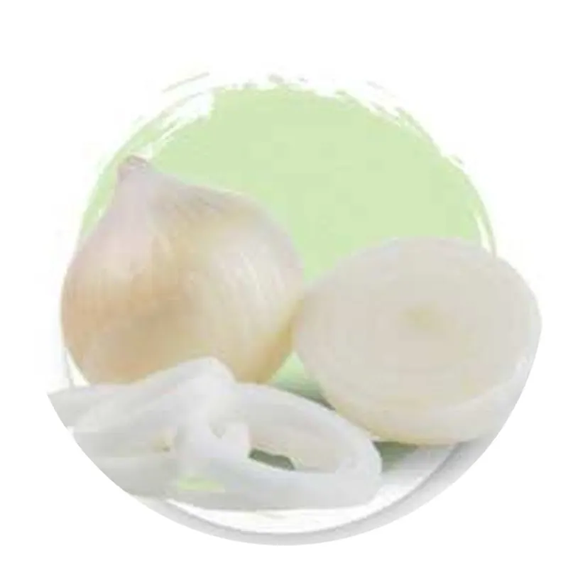 Dehydrated White Onion