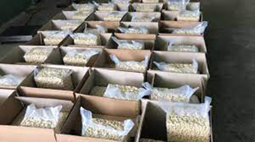 Cashew cartons ready for dispatch