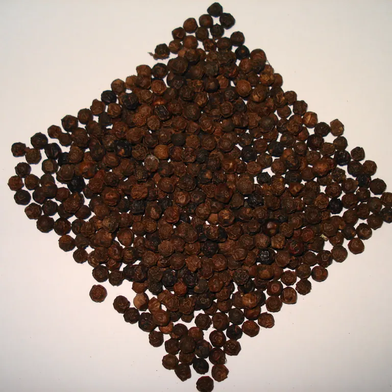 Black Pepper