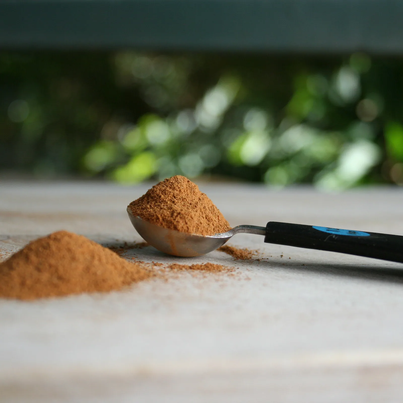 Cassia Powder (Taj)
