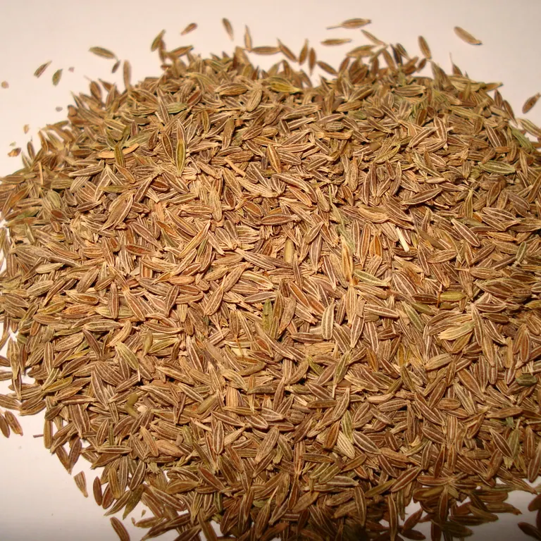 Cumin Seed