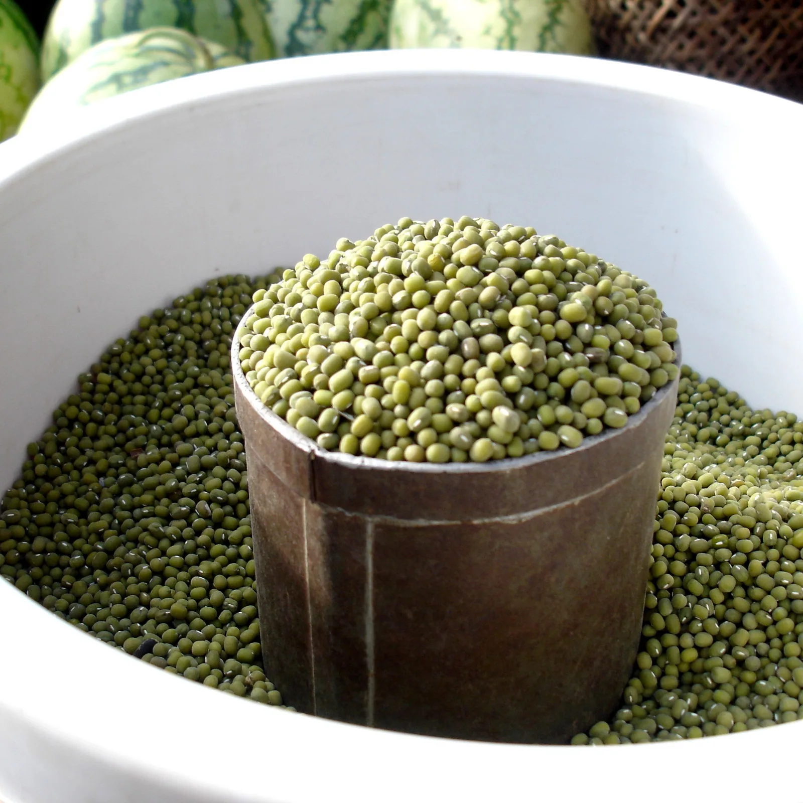 Green Gram (Mung Bean)