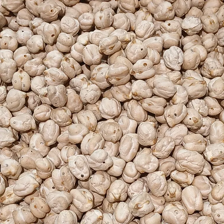Kabuli Chickpeas