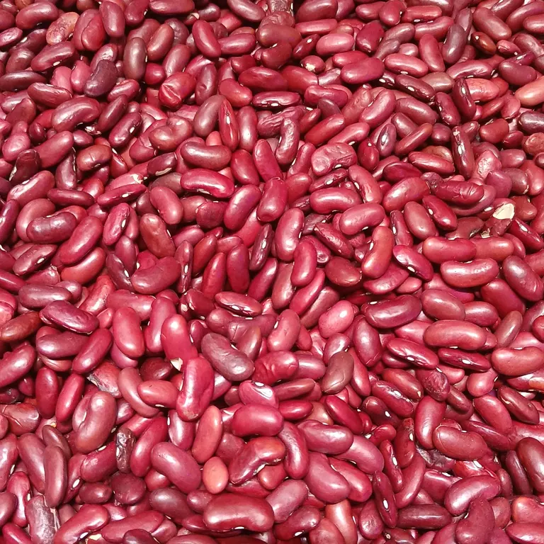 Kidney Beans (Rajma)