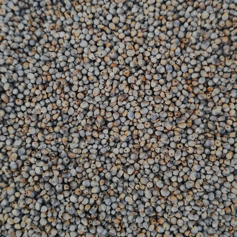 Millets
