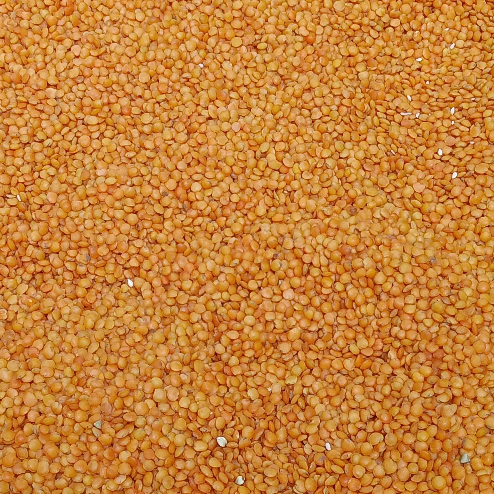 Split Red Lentils (Masoor Dal)