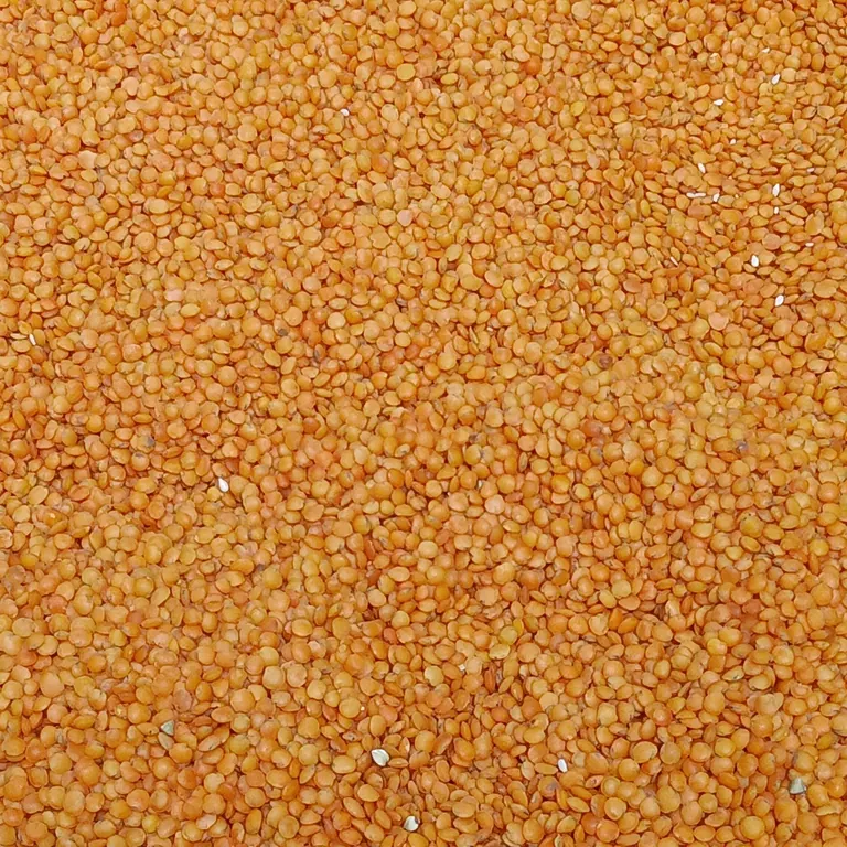 Split Red Lentils (Masoor Dal)